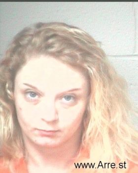 Brandy Lynn Burnley Mugshot