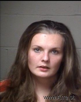 Brandy Lee Sanders Mugshot