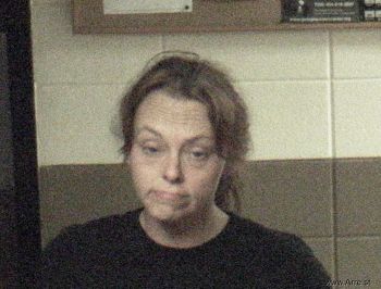 Candi Diane Mcdavid Mugshot