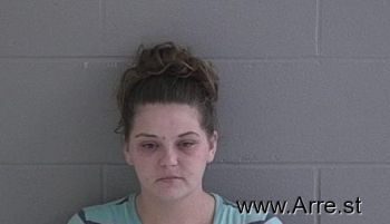 Chelsie Lynn Willis Mugshot