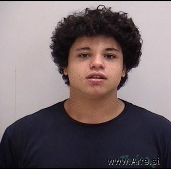 Christopher Fabian Gray Mugshot