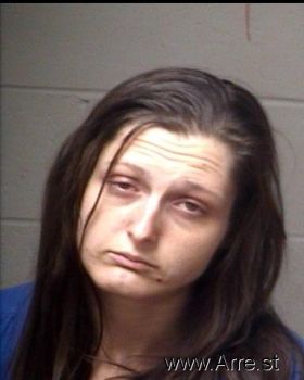 Erica Michelle Elmore Mugshot