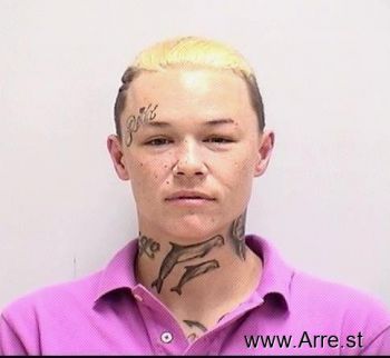 Erin Marie Price Mugshot