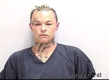 Erin Marie Price Mugshot