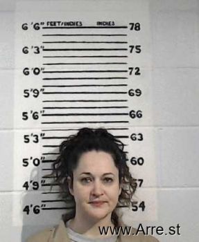 Heather Lynn Chambers Mugshot