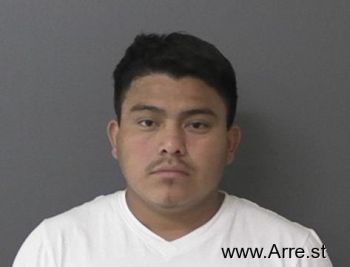 Ilser Alberto Morales-vicente Mugshot