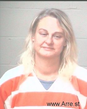 Jamie Reshea Willis Mugshot