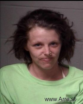 Jessica Elizabeth Howell Mugshot