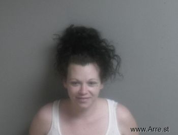 Jessica Lee Robinson Mugshot