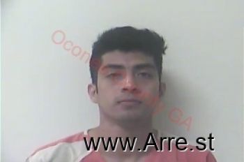 Johnsie  Sanchez Mugshot