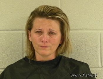 Lisa Diane Turner Mugshot