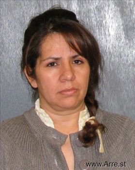 Maria  Chavez-avila Mugshot