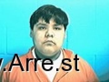 Miguel  Flores Jr. Mugshot