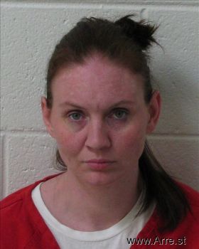 Misti  Morgan Mugshot