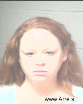 Melissa Sue Jones Mugshot