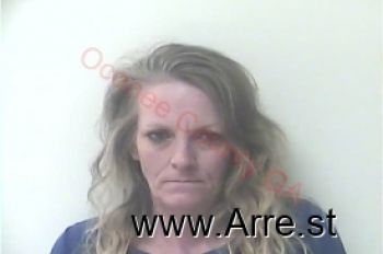 Melissa Wheeler Mcdougald Mugshot