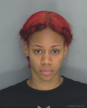 Mellyssa Laniesse Windley Mugshot