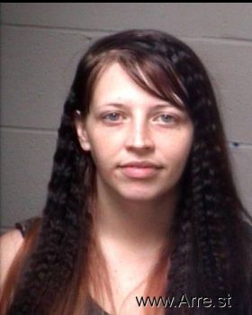 Michelle Lynn Williamson Mugshot