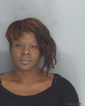 Pamela Ann Mitchell Mugshot