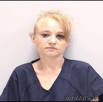 Samantha Lynn Burgess Mugshot