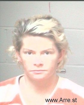 Sheri Smith Anderson Mugshot