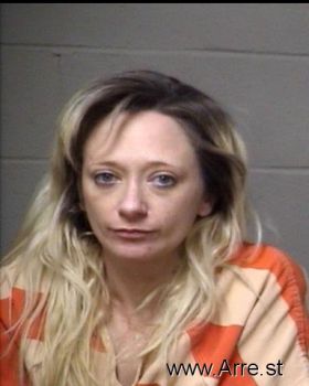 Stefanie Ann Jones Mugshot