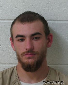 Travis  Mitcham Mugshot