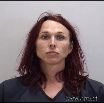 Tiffany Michelle Mcelroy Mugshot