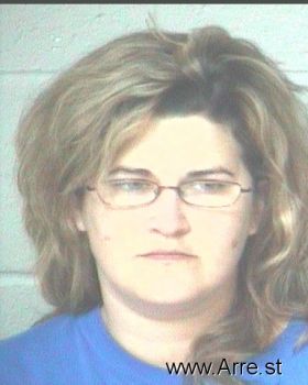 Tracy Lynn Holmes Mugshot