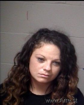 Virginia Lynn Mitchell Mugshot