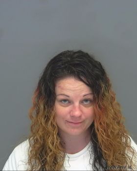 Virginia Lynn Mitchell Mugshot