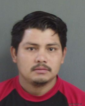 Wilmer  Rodriguez Mugshot