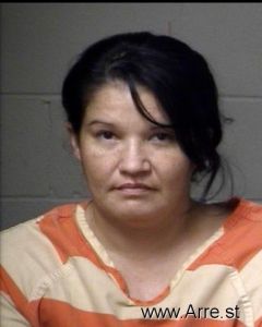 Christy Lee Arrest Mugshot