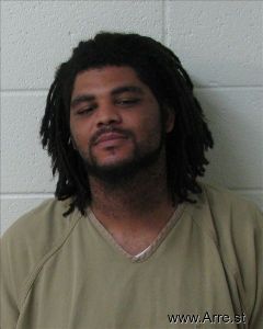 Dana Chaney Arrest Mugshot