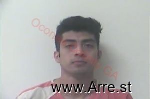 Johnsie Sanchez Arrest Mugshot