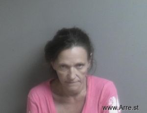 Mary Johnson Arrest