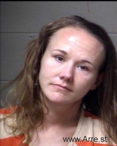 Michelle Sappenfield Arrest Mugshot