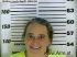 LISA SMITH Arrest Mugshot Chatham 06/28/2013