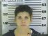 MERANDA PRICE Arrest Mugshot Chatham 03/06/2013