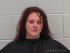 Sara Carter Arrest Mugshot Carroll 03/29/2014