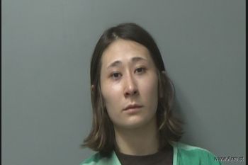 Anna Jo Lee Farlow Mugshot