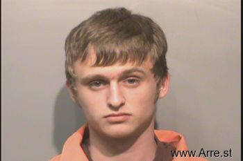 Austin Lee Collins Mugshot