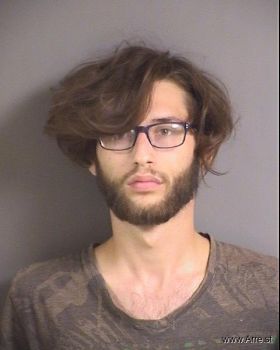 Alexander Alan Larison Mugshot