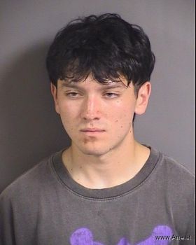 Alexander Alberto Jr. Sanchez Mugshot