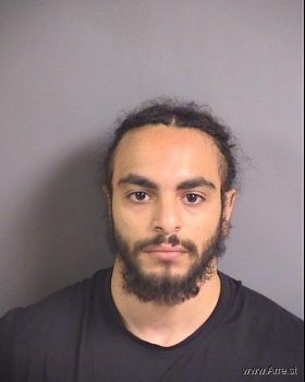 Ali Abdelkarim Ali Mugshot