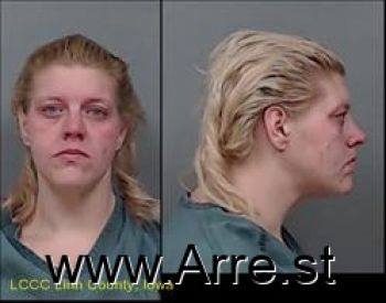 Amanda Lynn Dolgner Mugshot