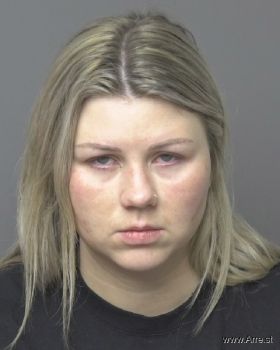 Amanda Lee Williams Mugshot
