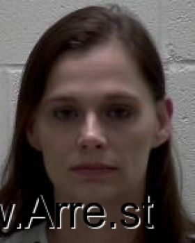 Amber Dawn Willenborg Mugshot