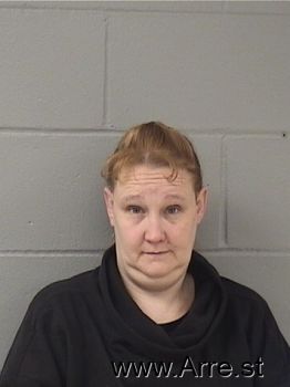 Amy Lashell Anderson Mugshot