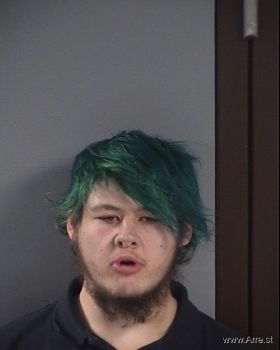 Bradley Allen Lee Schmidt Mugshot